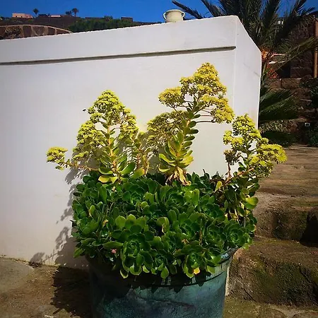 Gæstehus Le Maioliche Scauri (Sicily)